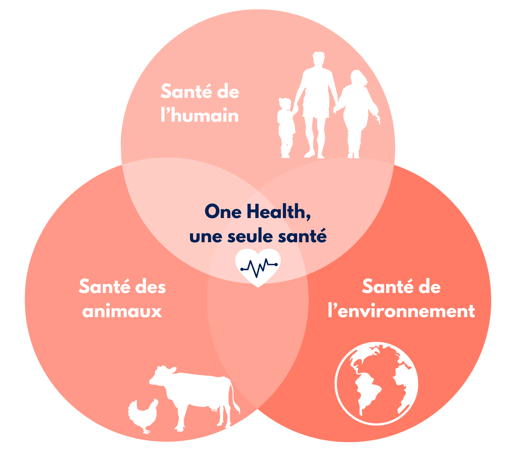 One Health